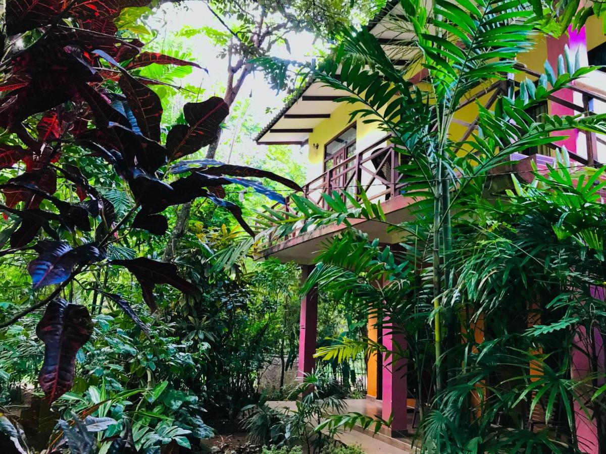 סיגירייה Gangadiya Lodge מראה חיצוני תמונה