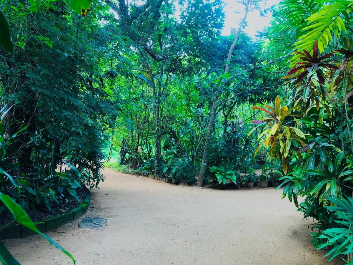 סיגירייה Gangadiya Lodge מראה חיצוני תמונה